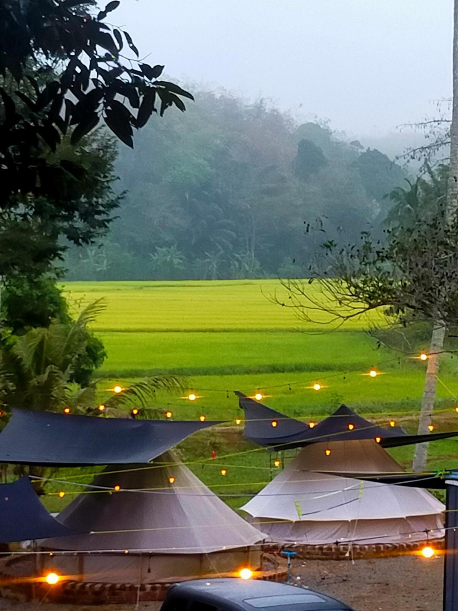 Tanah Merah Glamping Village Куала-Кангсар Екстер'єр фото